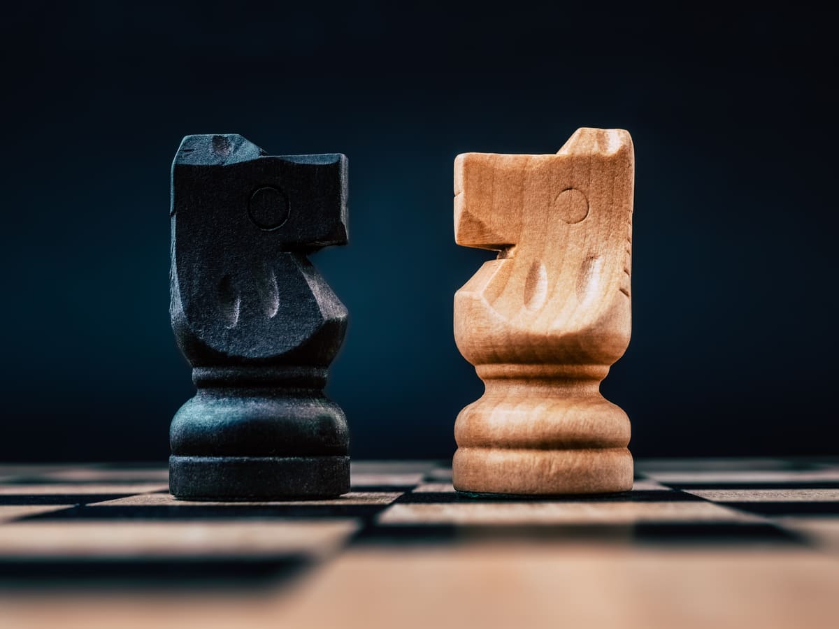 Black and White Knight Chess Pieces