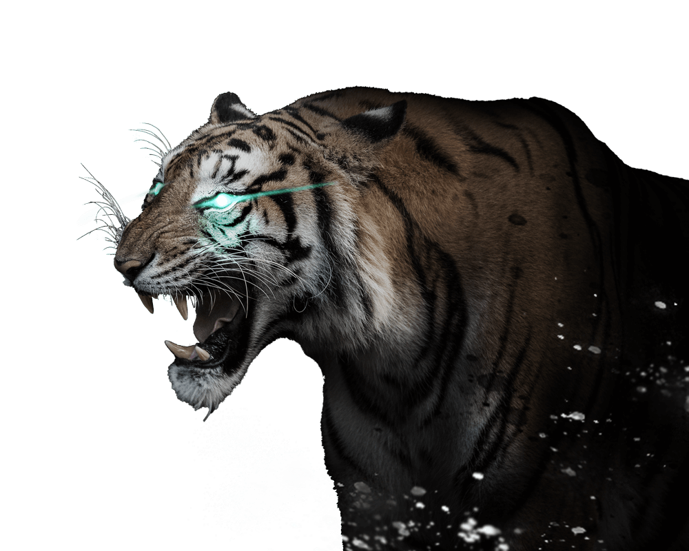 tiger